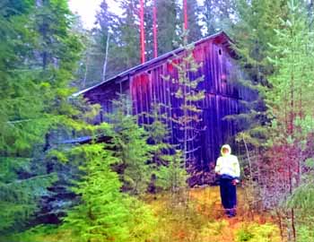 Troll-ladan i skogen